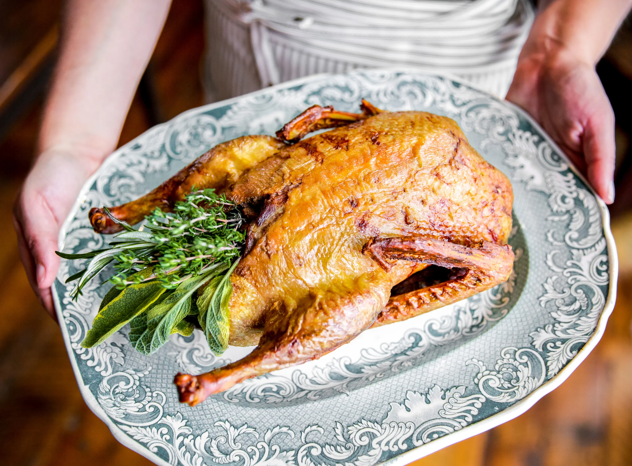 Turkey_HoldingHorizontal (1 of 1).JPG