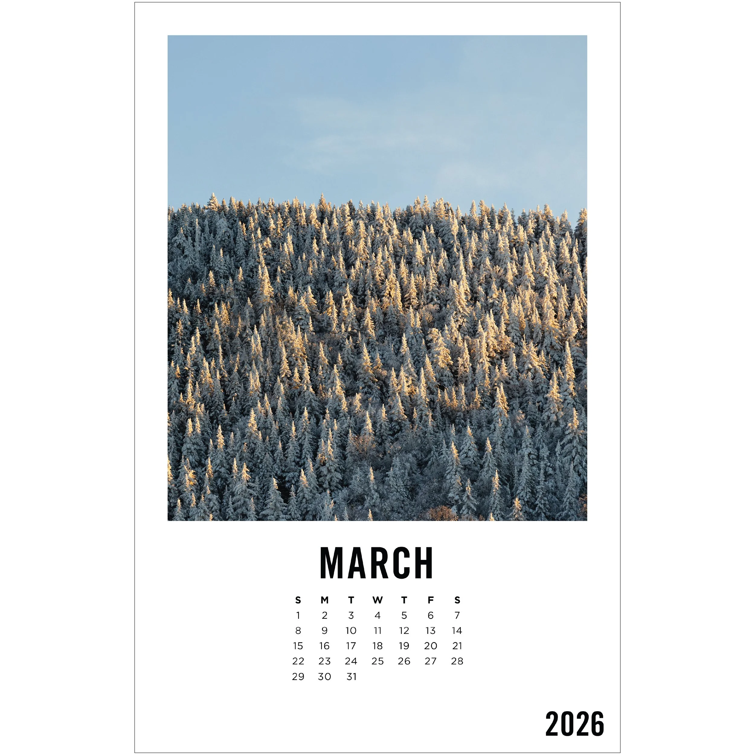 ChadwickEstey_Calendar_Web_2026_Outlined_3.jpg