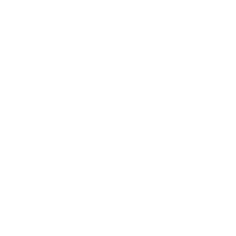 Lyft white.png