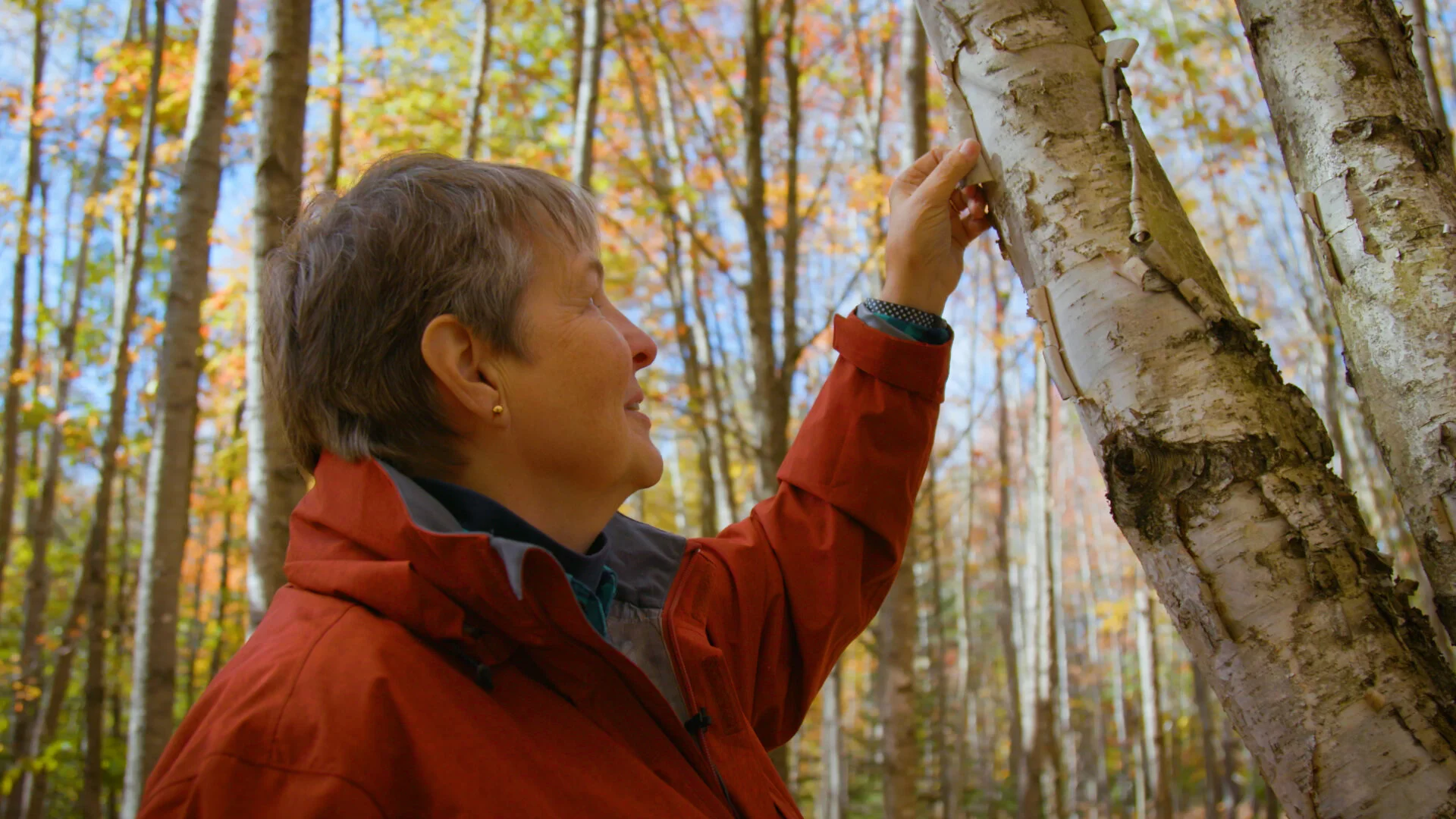 Faces of the Forest | Paper & Packaging