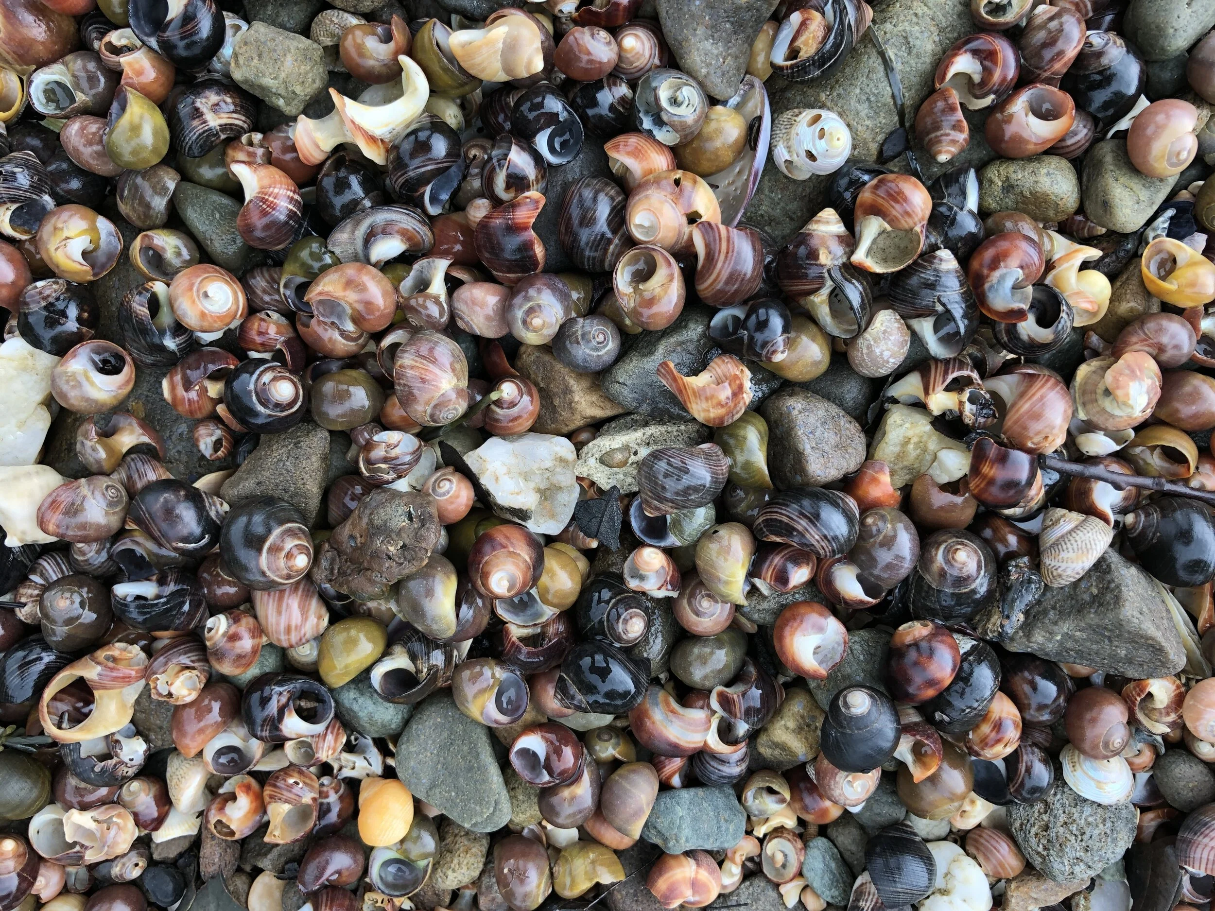 Saltworks Donegal Architecture.JPG