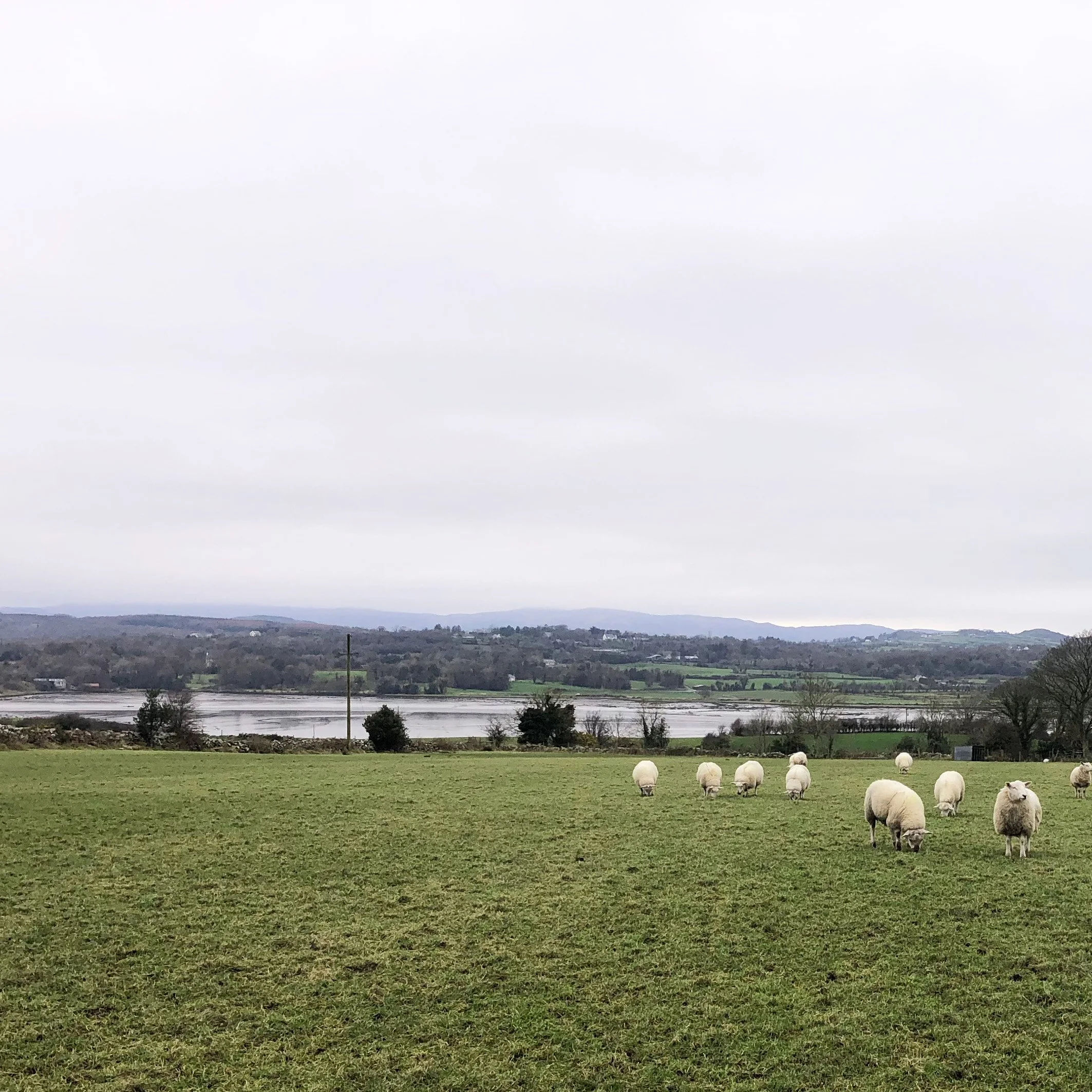Pasparakis_Friel_Ramelton_House_Architecture_Donegal.jpg
