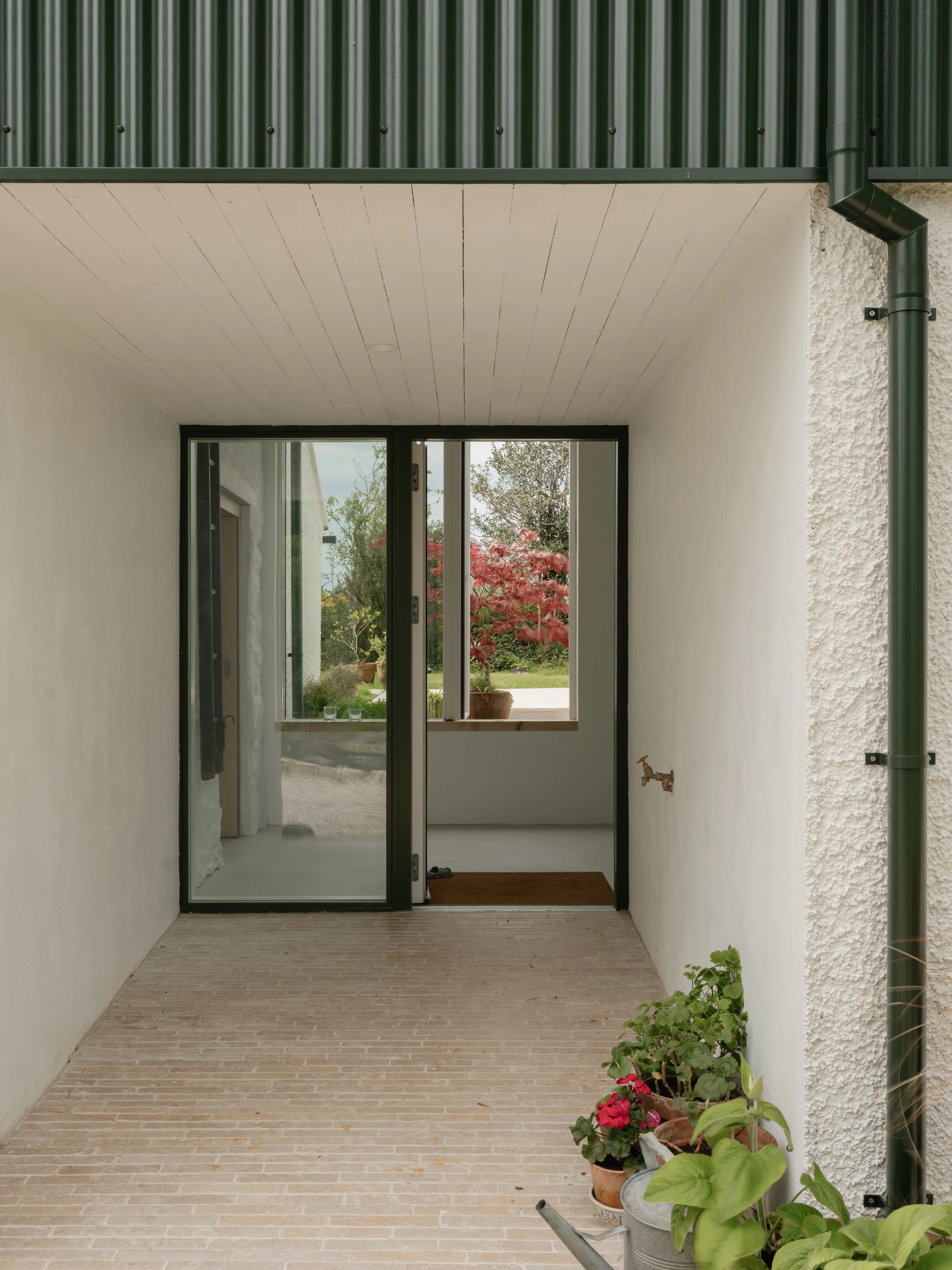 Pasparakis_Friel_Renovation_Moss.jpg