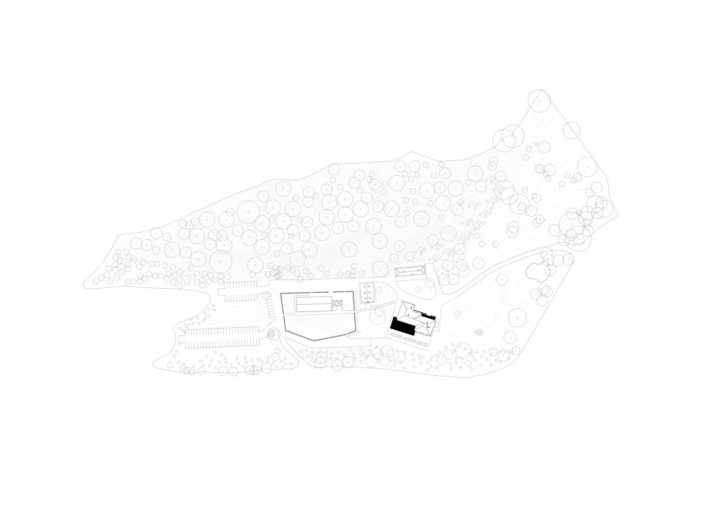 Pasparakis_Friel_Drumhalla_Site.jpg