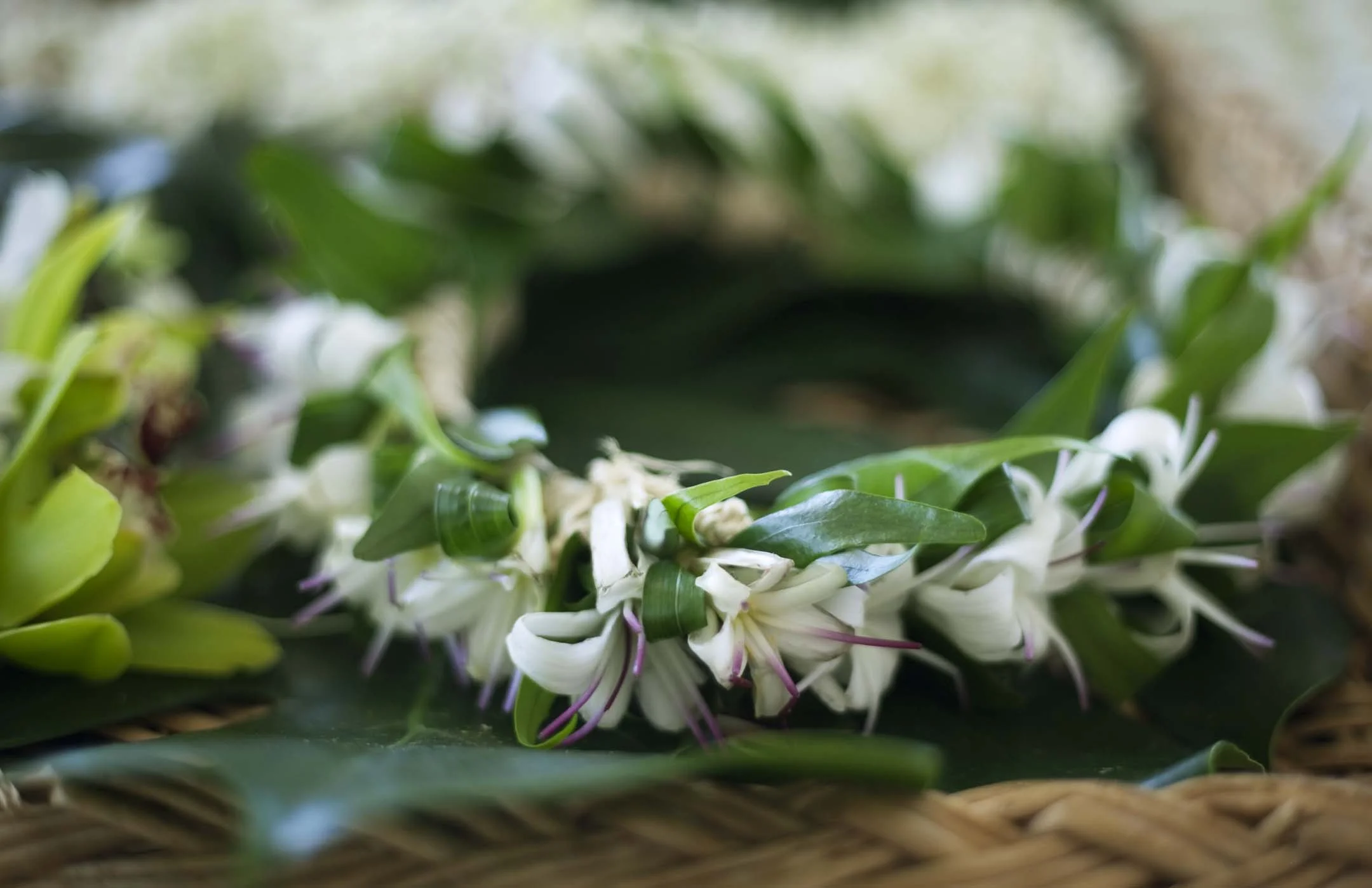 flowers2.jpg