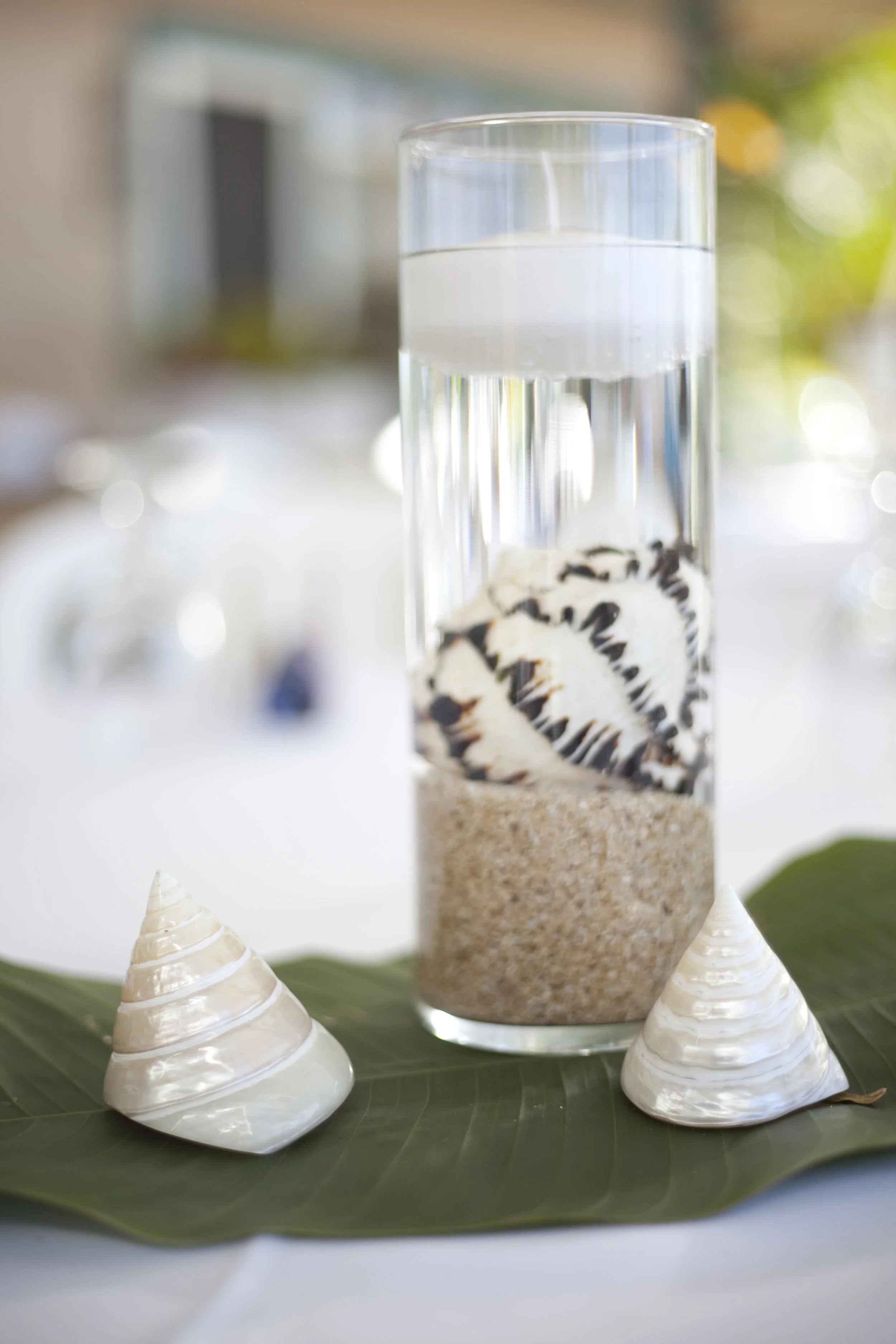 shell float.jpg