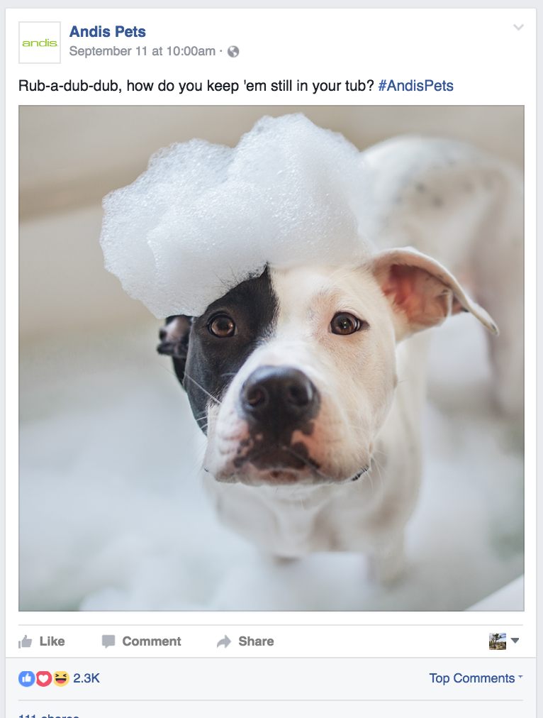 Social Media Instagram Content written by Copywriter Heather Racine in Madison, WI