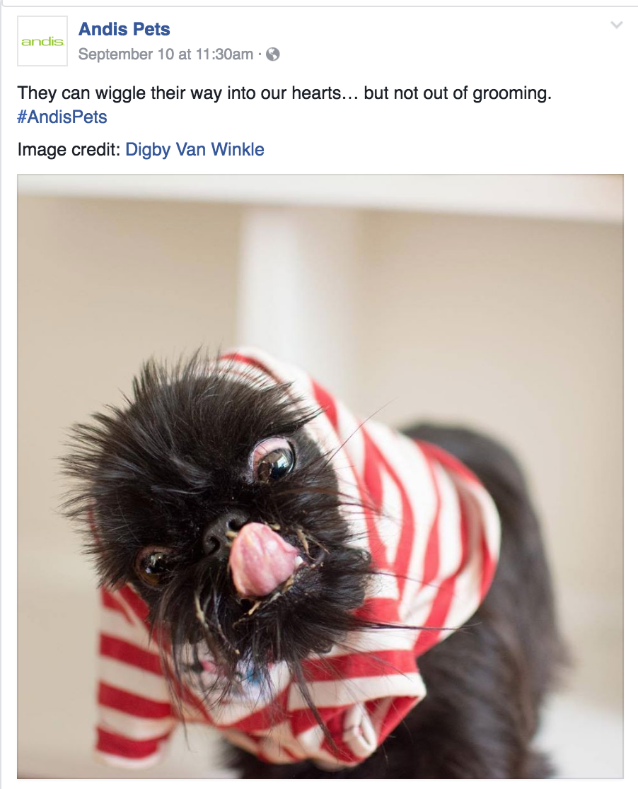 Social Media Instagram Content written by Copywriter Heather Racine in Madison, WI