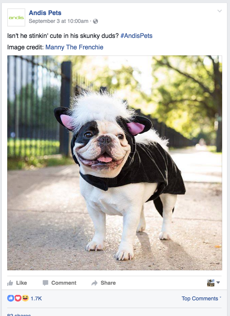 Social Media Instagram Content written by Copywriter Heather Racine in Madison, WI