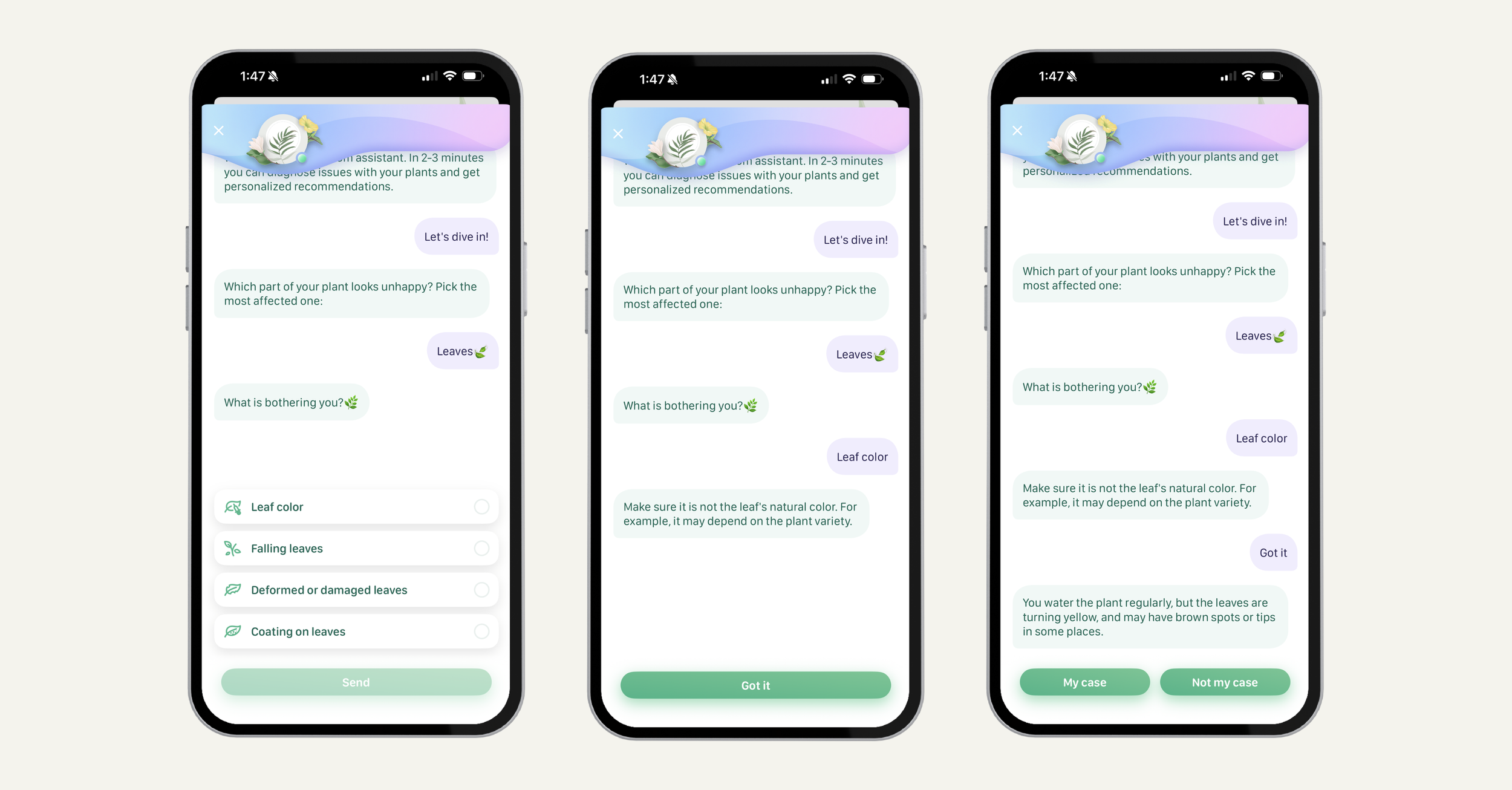 LinkedIn Blossom Chatbot 2.png