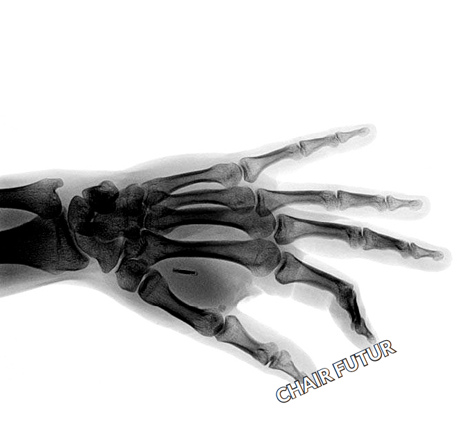 Basic Space X Chair Futur