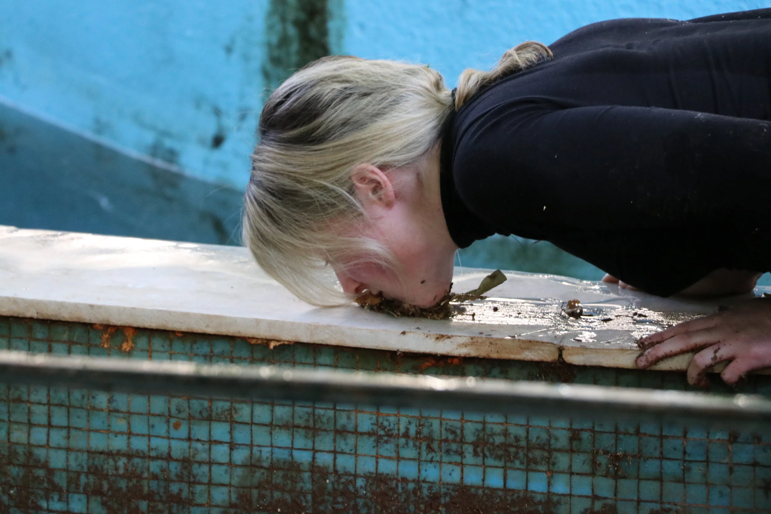 BASIC TALKS ~ Alex Brunt