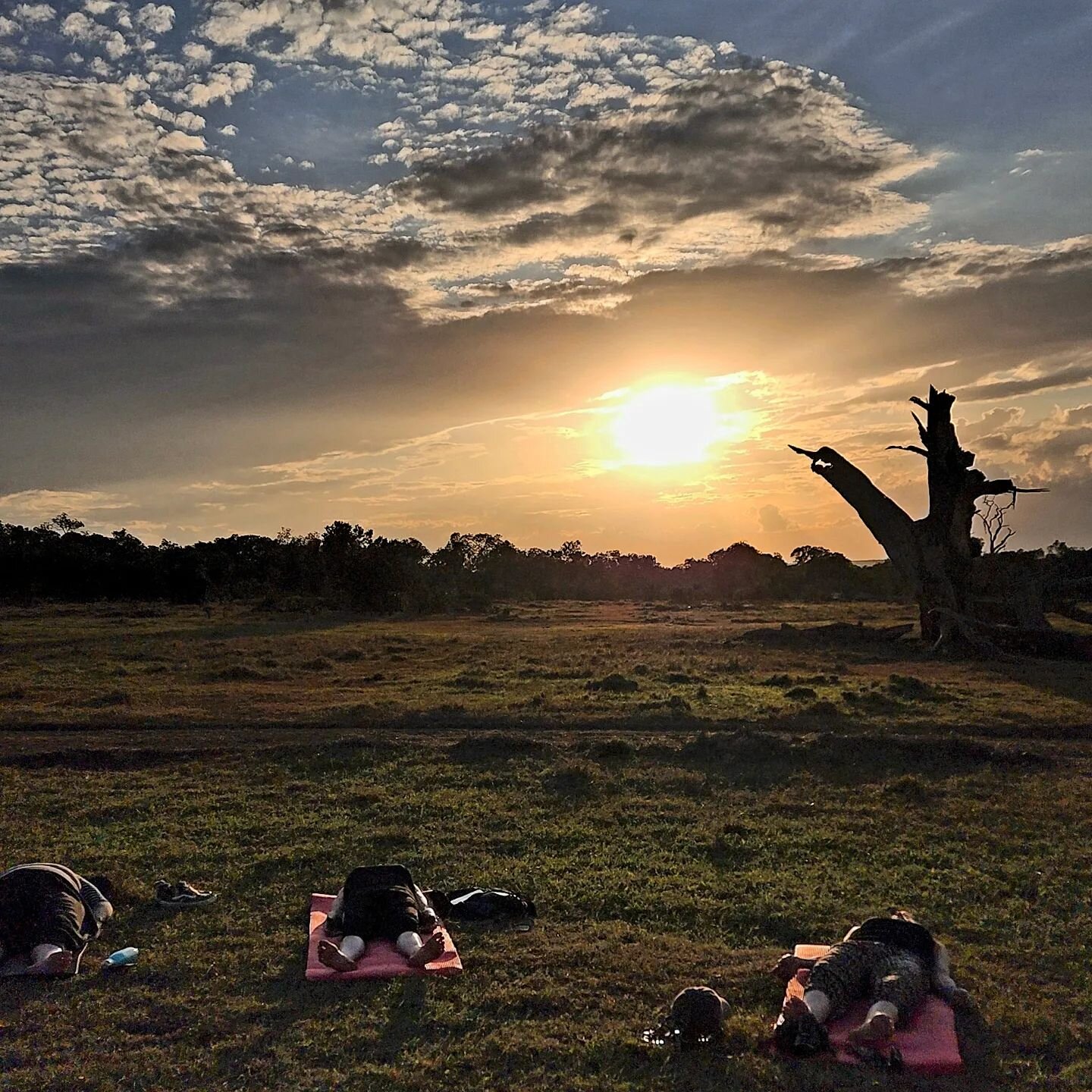 *Disclaimer* I normally do not post pictures of people in savasana... However, being able to practice in the bush of Kenya with @yoga_for_the_wild really is the most amazing and transformative experience! Feeling complete vulnerability to the natural