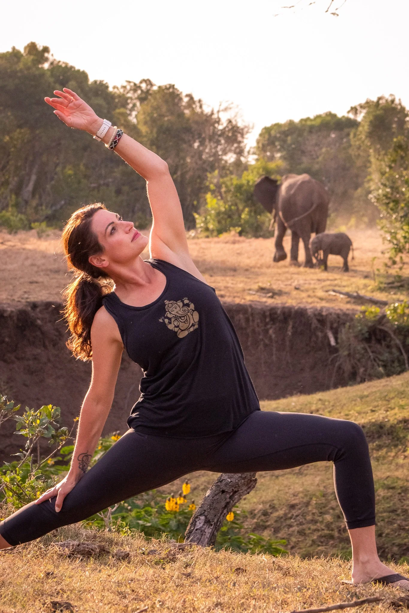 Track Your Best Life workshop with Liz Delaney of Greenville Yoga: a 2-part workshop