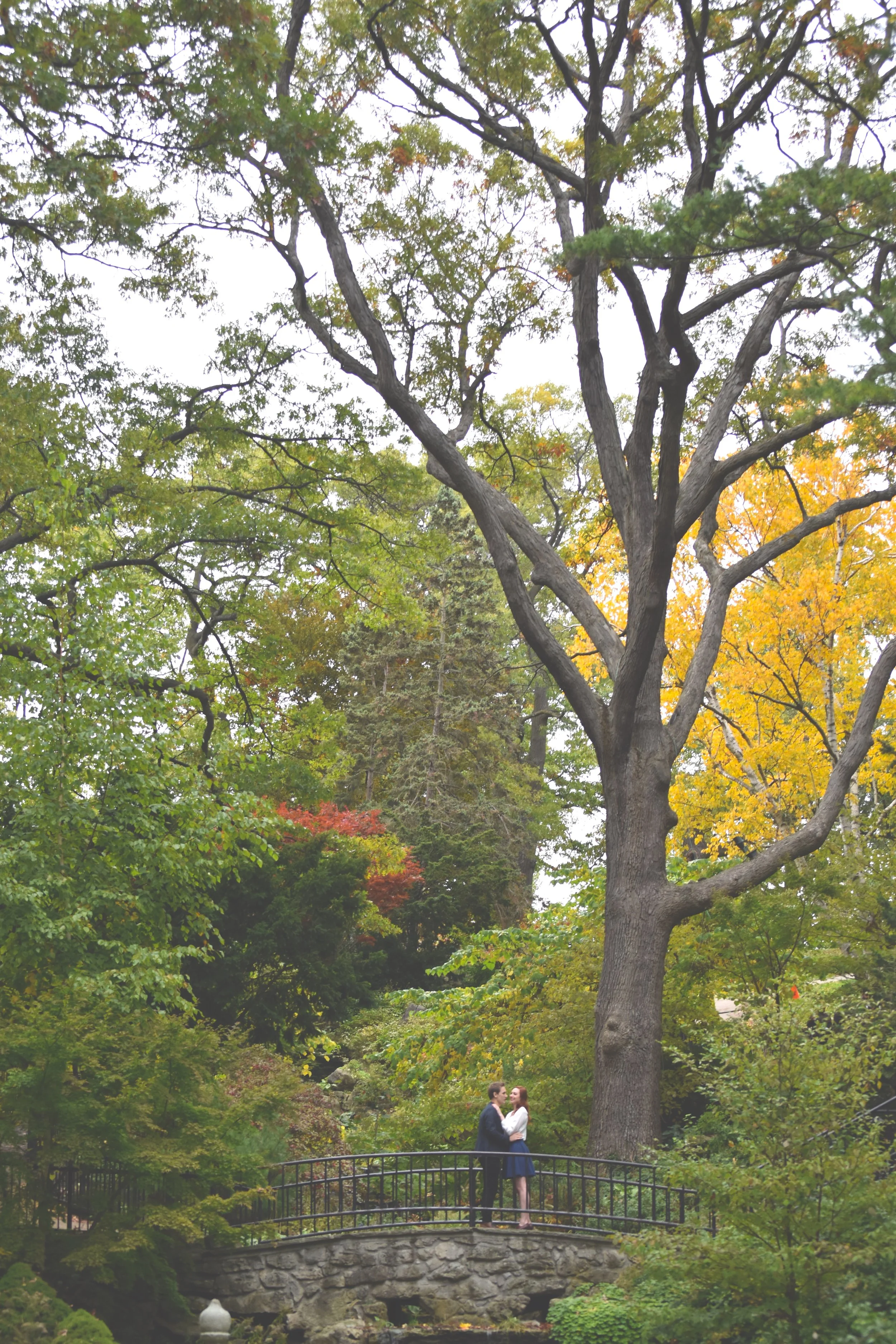 DSC_0720.JPG