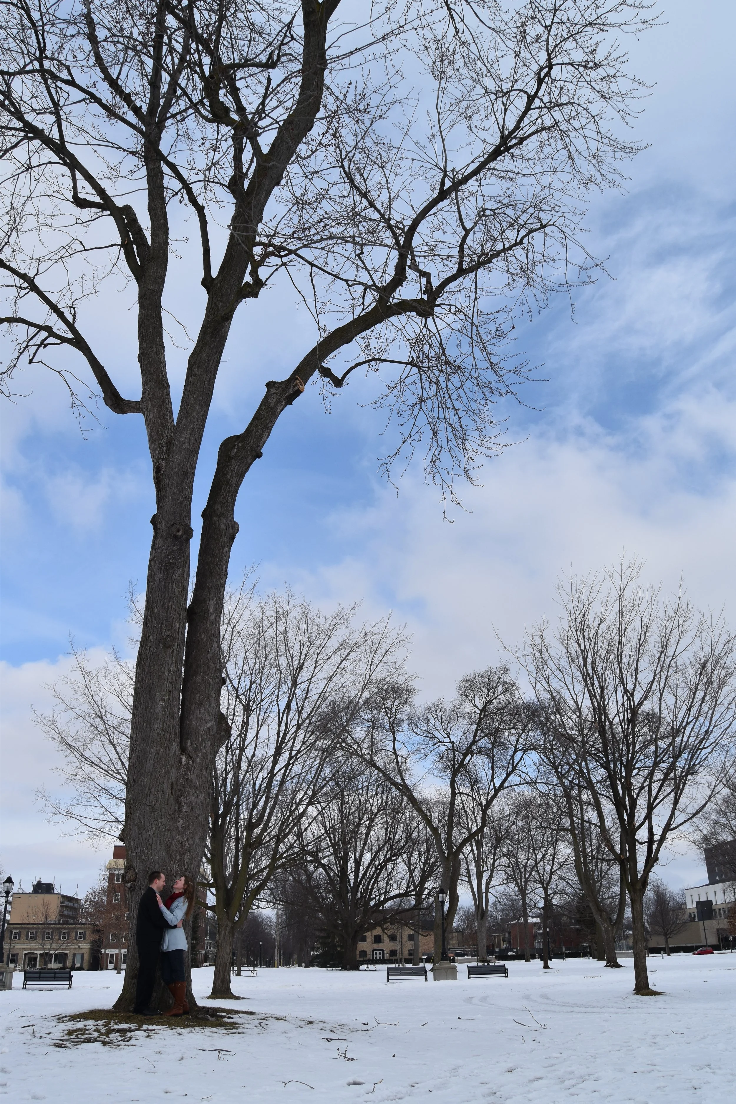 DSC_0766.JPG