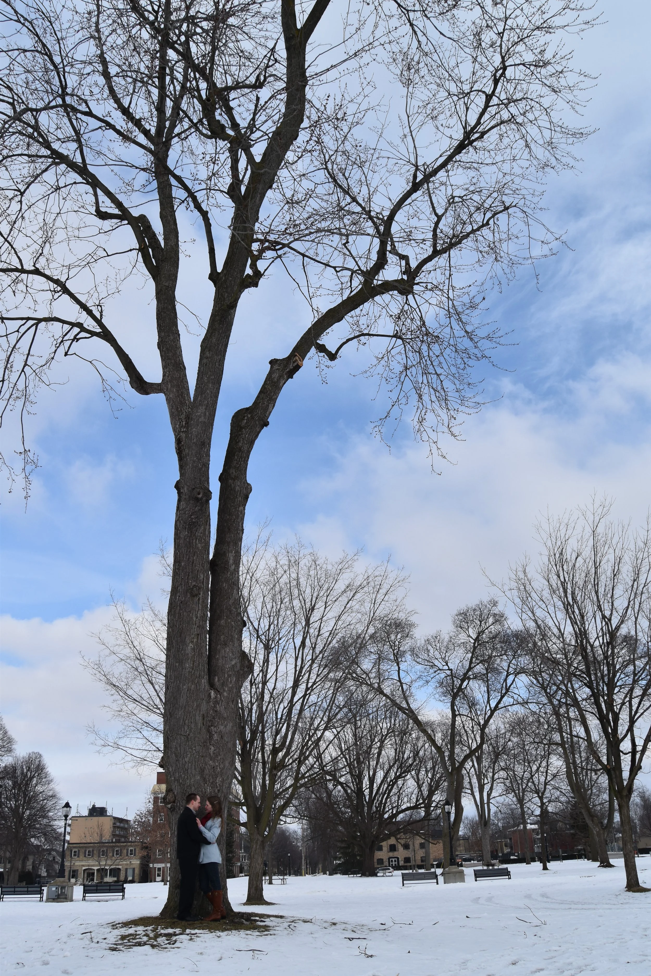 DSC_0772.JPG