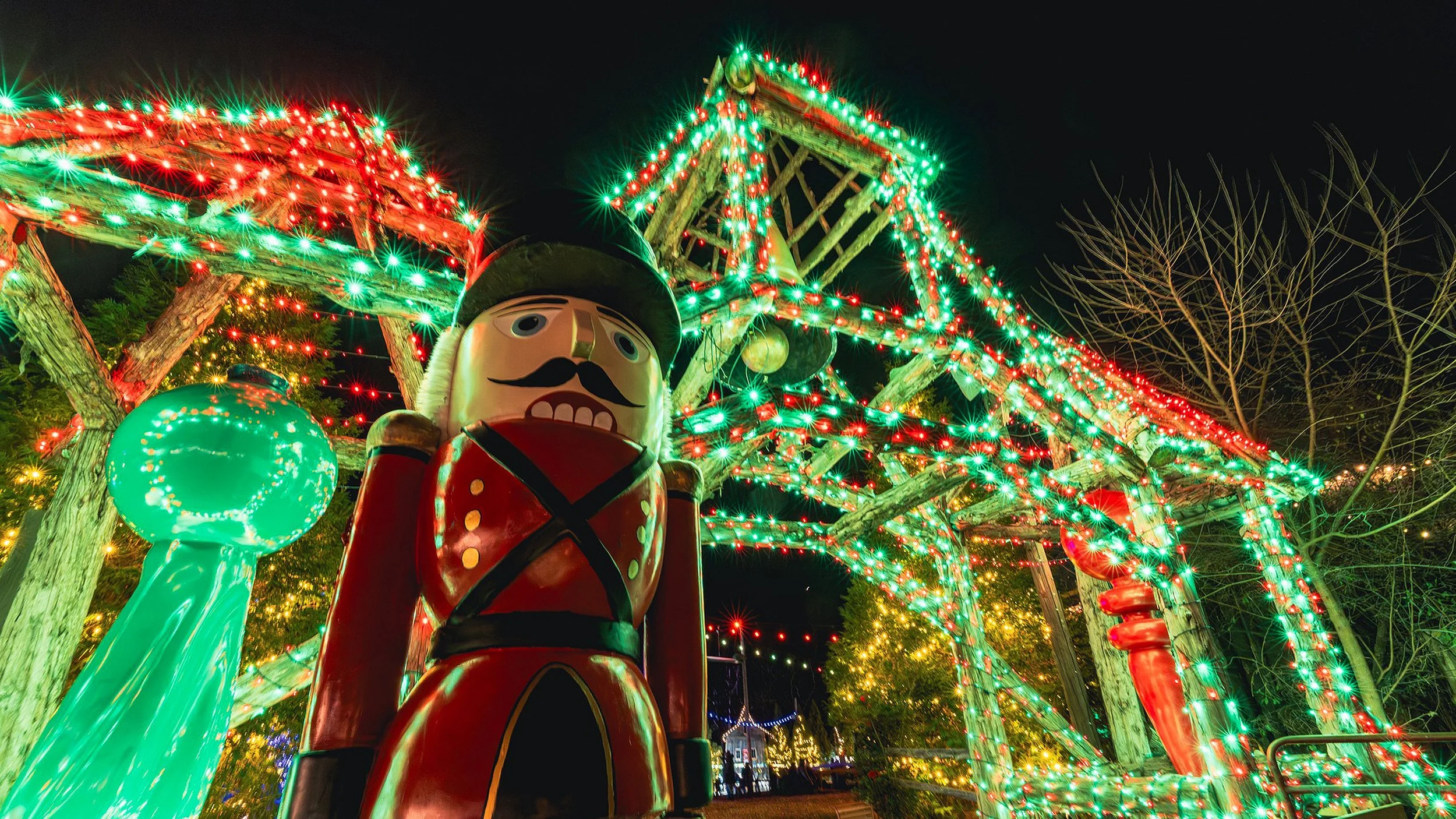 Markoff's Christmas Farm Brings Holiday Magic to Life in Poolesville