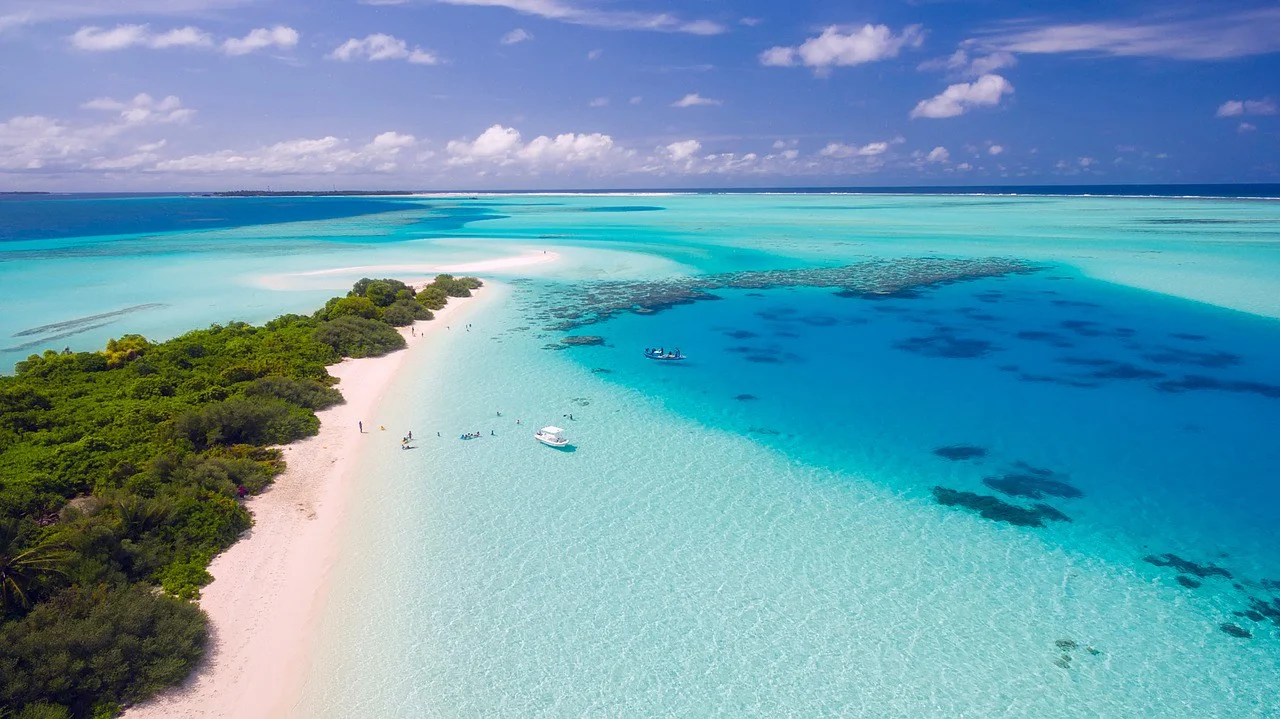 Seychelles government creates the 2nd largest marine protected area in the Indian Ocean