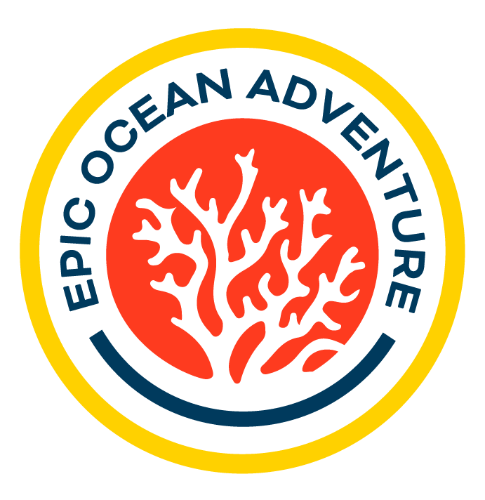 Epic Ocean Adventure