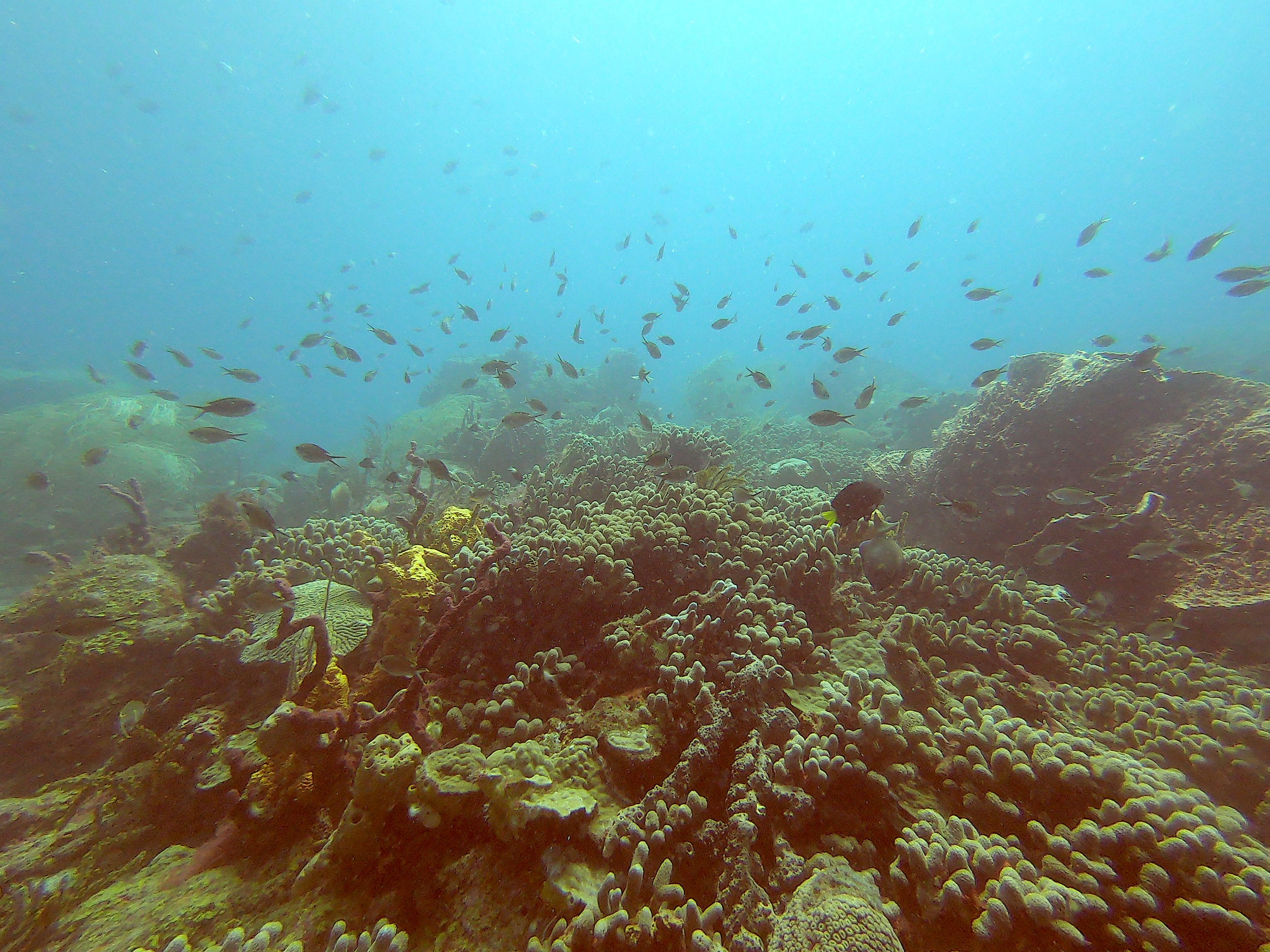 First Ever Marine Debt-For-Nature Deal in the Seychelles