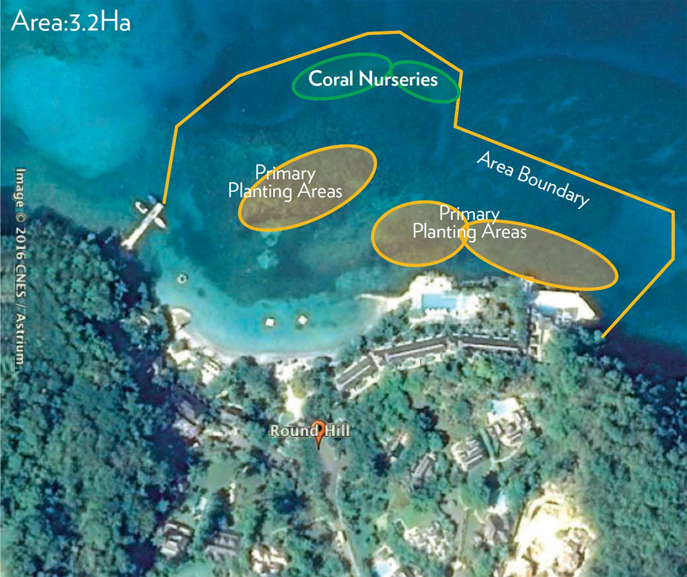 Round Hill Hotel's Local Reef Map