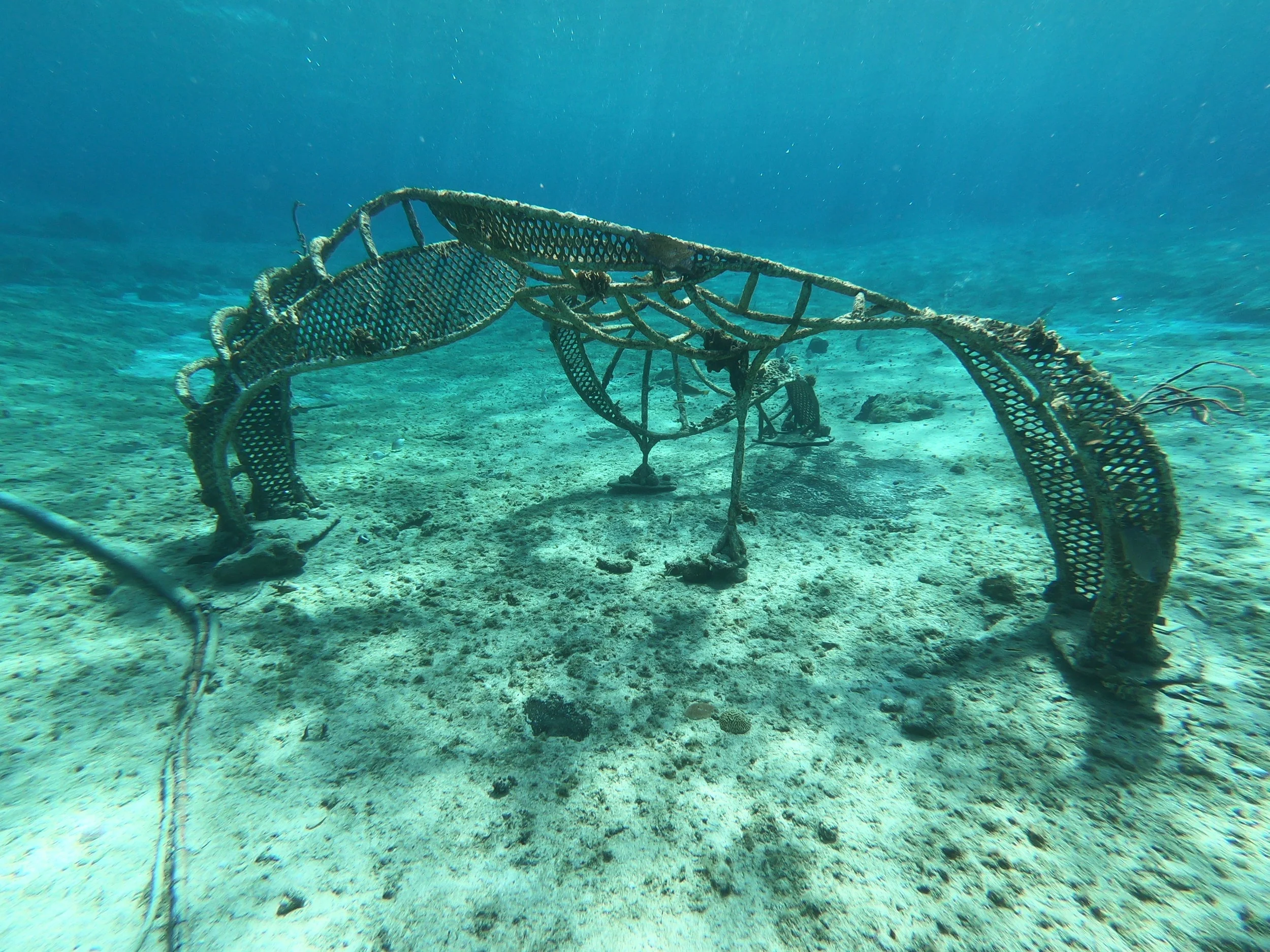 A bio-rock sculpture with coral fragments attached along its frame.