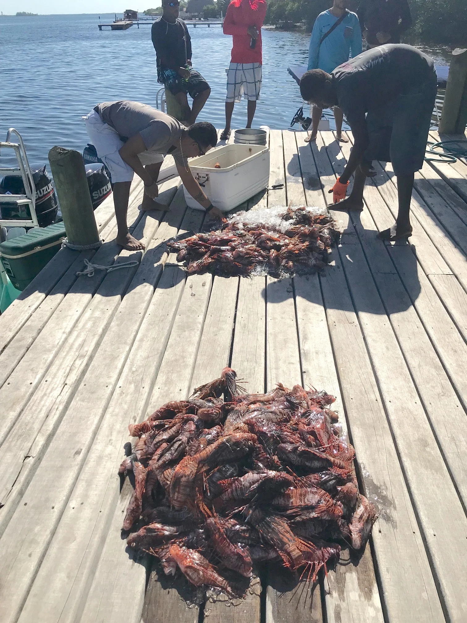 Counting each boat’s catch for the day on the deck next to Seahorse Divers.