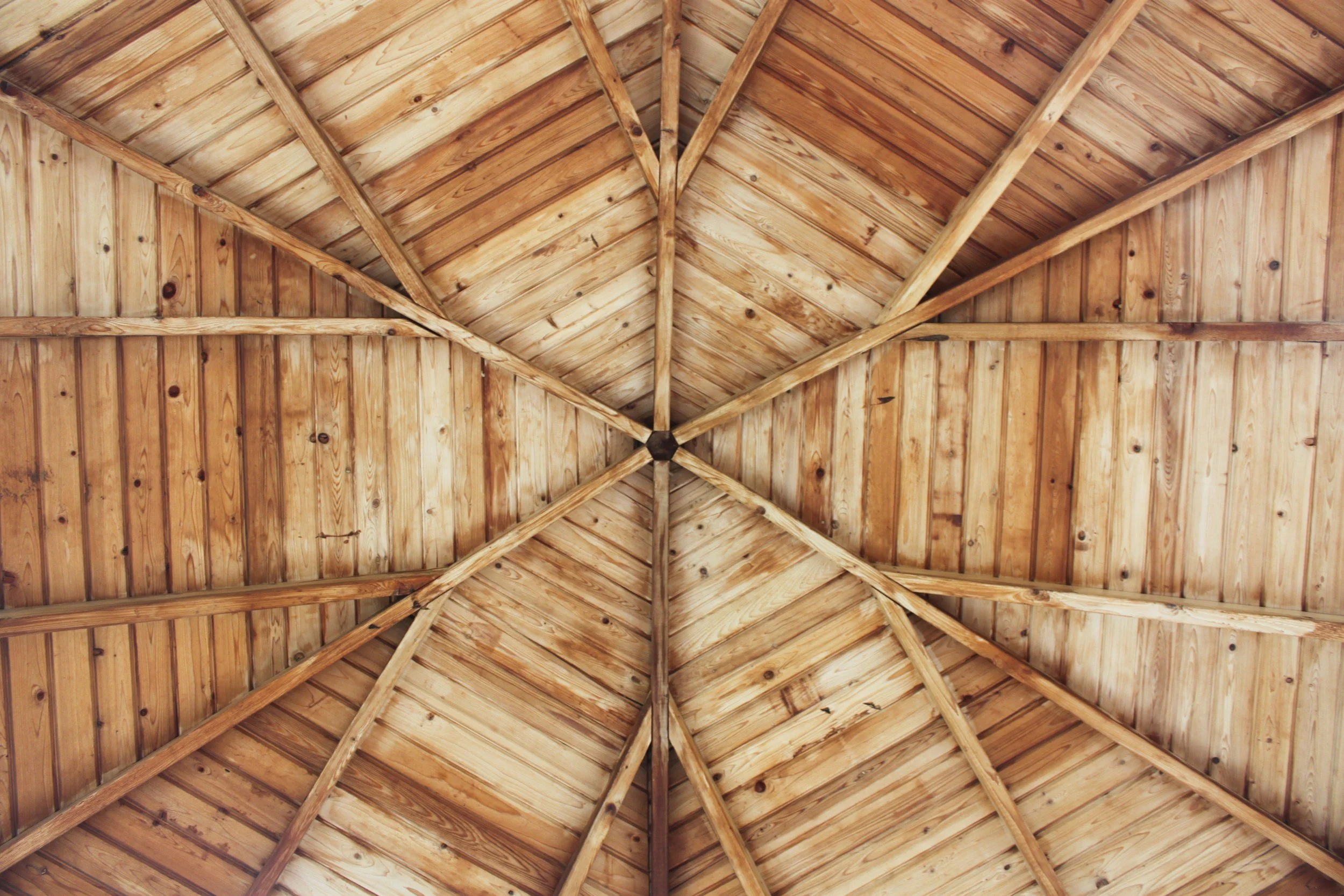 unsplash-image-ZTO5ntSqUKA.jpg
