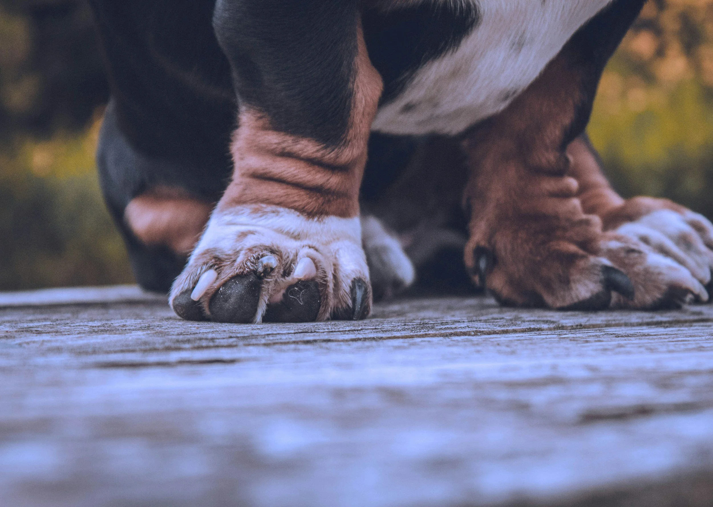 unsplash-image-3uMWbwzPkgo.jpg