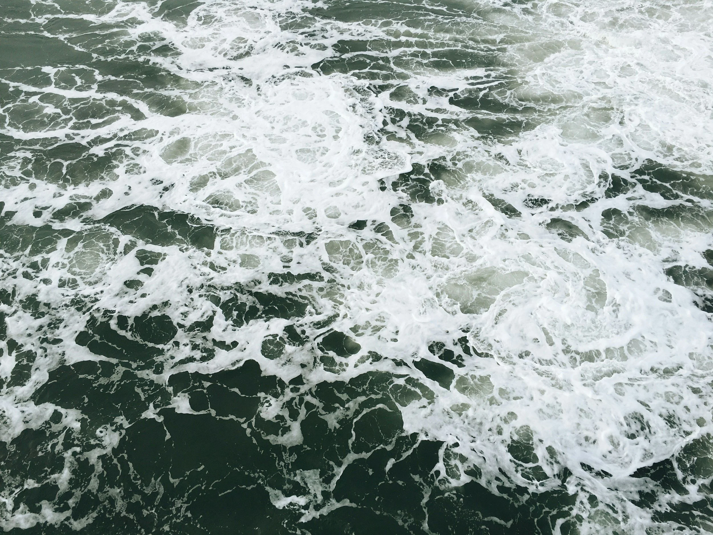unsplash-image-jevOeAhaNF8.jpg