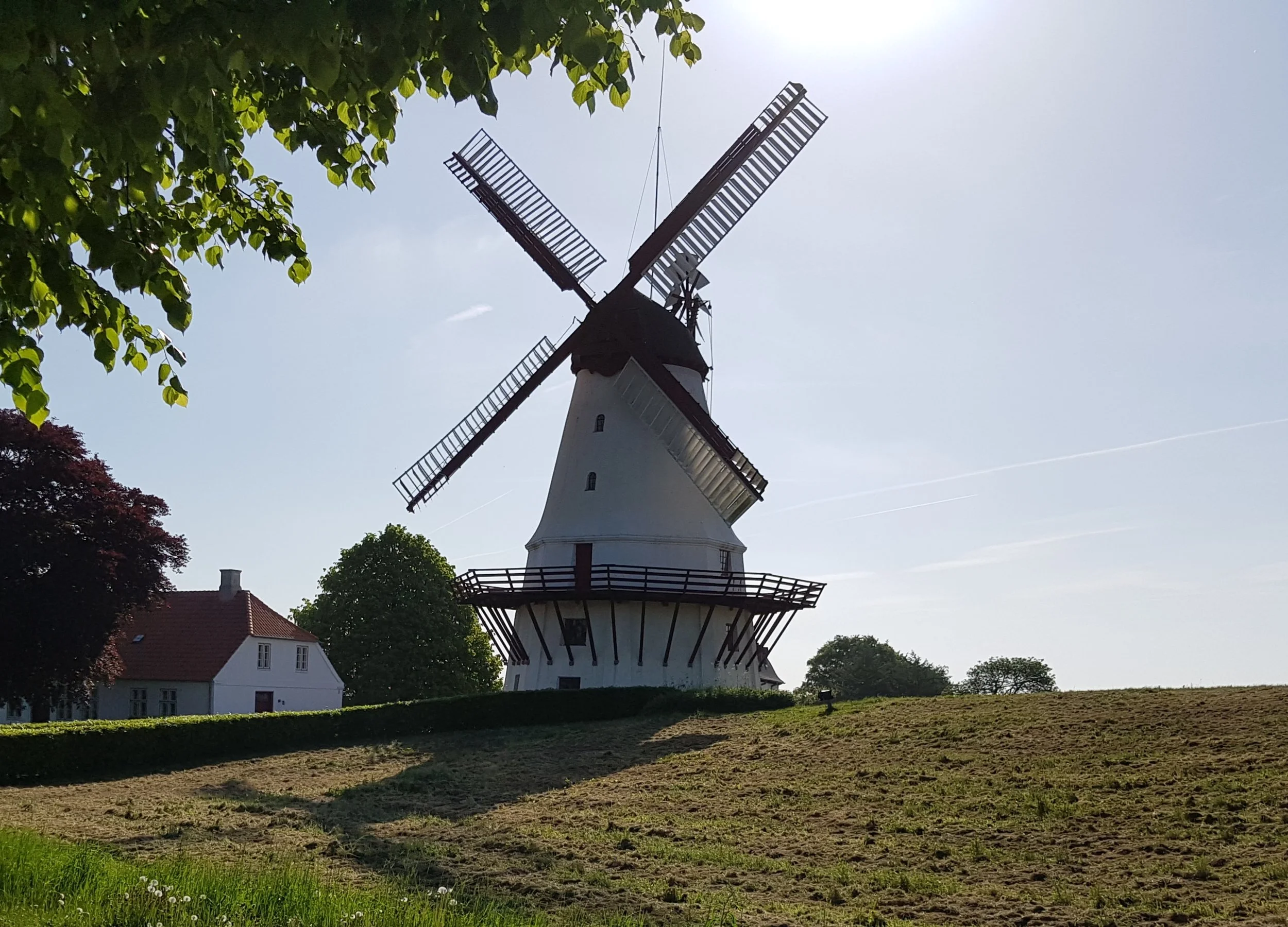 Dybbøl Mølle - Tvende gang skudt i grus, atter rejst som møllehus - Starten på et digt om Dybbøl Mølle, skrevet af den islandske præst Thordur Thomasson. Digten blev i 1914, i anledningen af 50 års jubilæum for slaget på Dybbøl, opsat på en mindeplade på Dybbøl Mølle. De preussiske myndigheder fjernede og knuste pladen, men en ny blev opsat i 1919. Holger Drachmann, der skrev det kendte digt om Bøffelkobbelhuset (De vog dem, vi grov dem en grav i mor have), har ligeledes skrevet et digt om Dybbøl. 