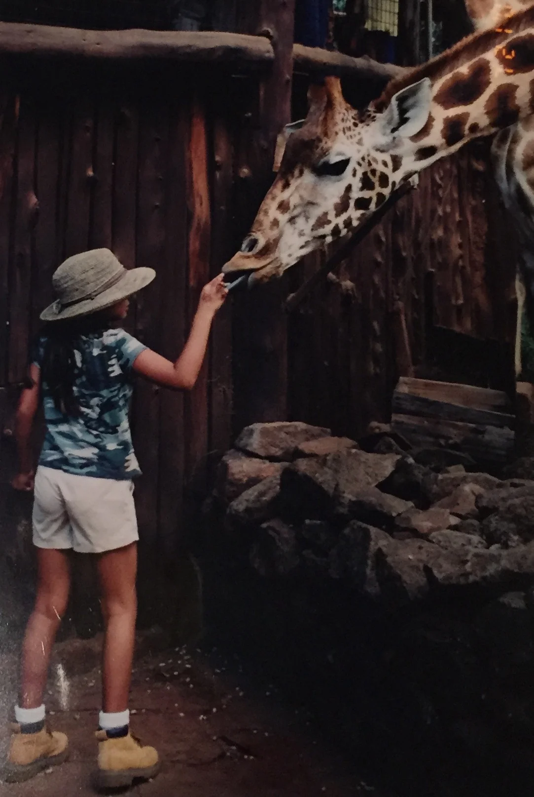 Giraffe Centre, Nairobi