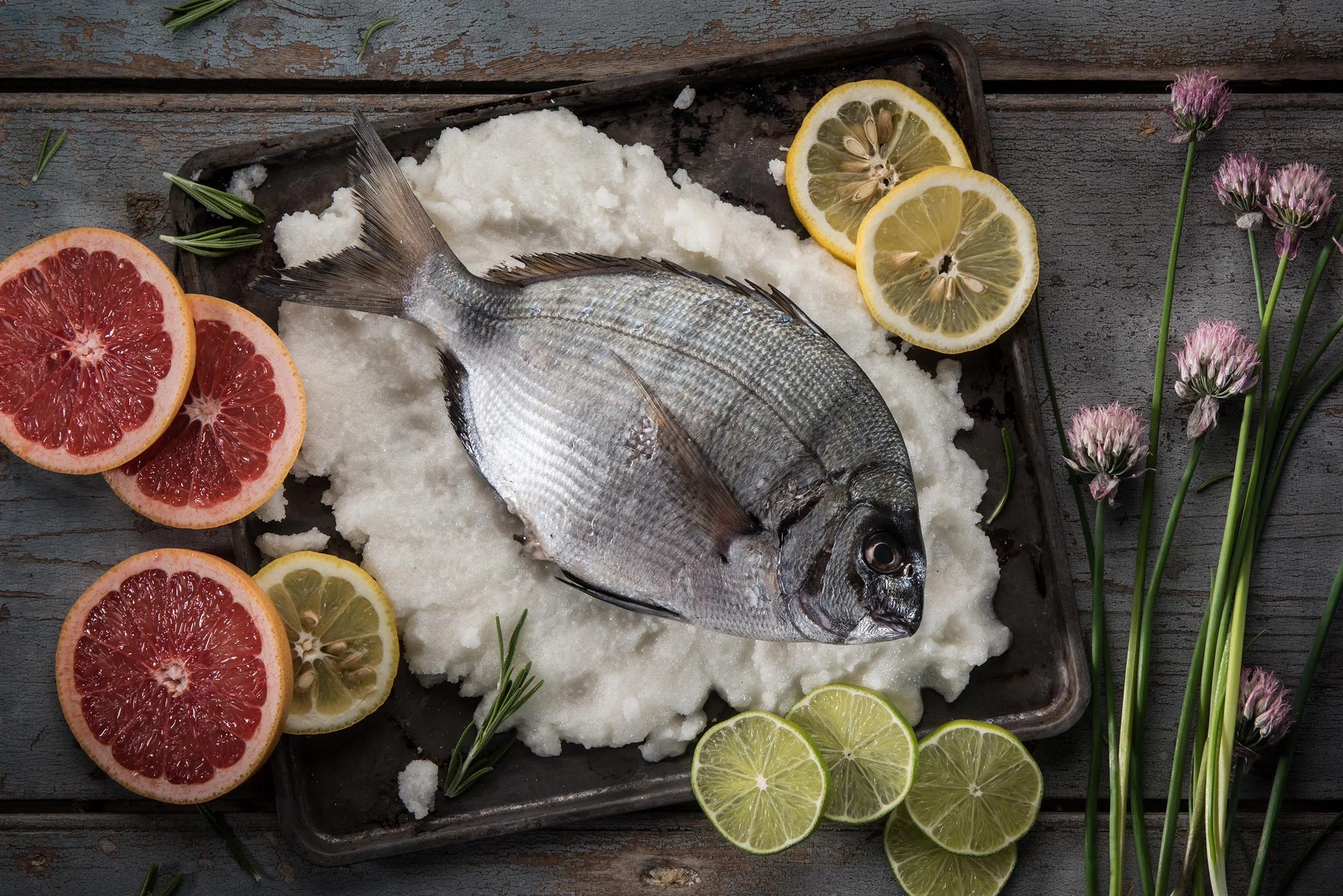 Katrina June Creative - fish.JPG