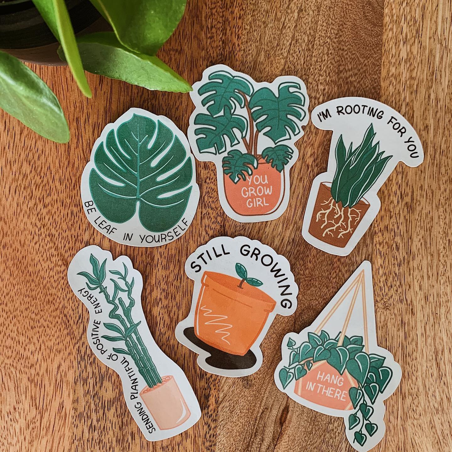 🌱Love yourself just as much as your plants do🌱 
&bull; Plant Positivity Stickers &bull; 
- Original or Pink Edition
- You can get them in a set or individually
- Will post when shop is open!