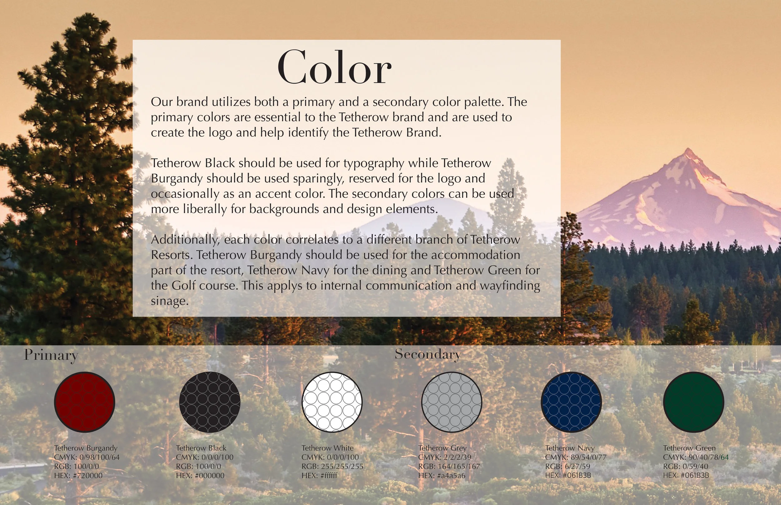 BrandStyleGuidePortfolio5.jpg