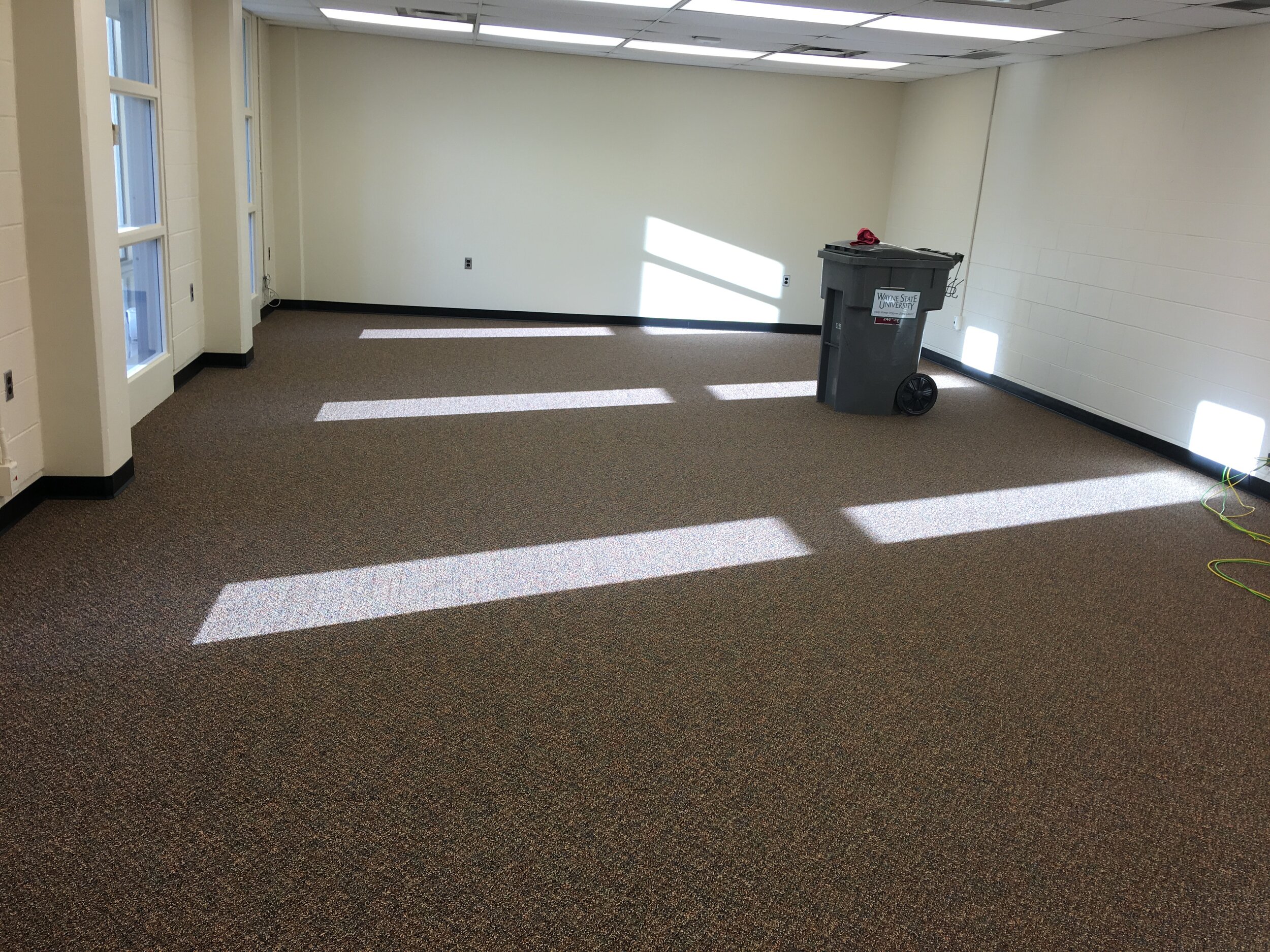Carpet Clean - Wayne State