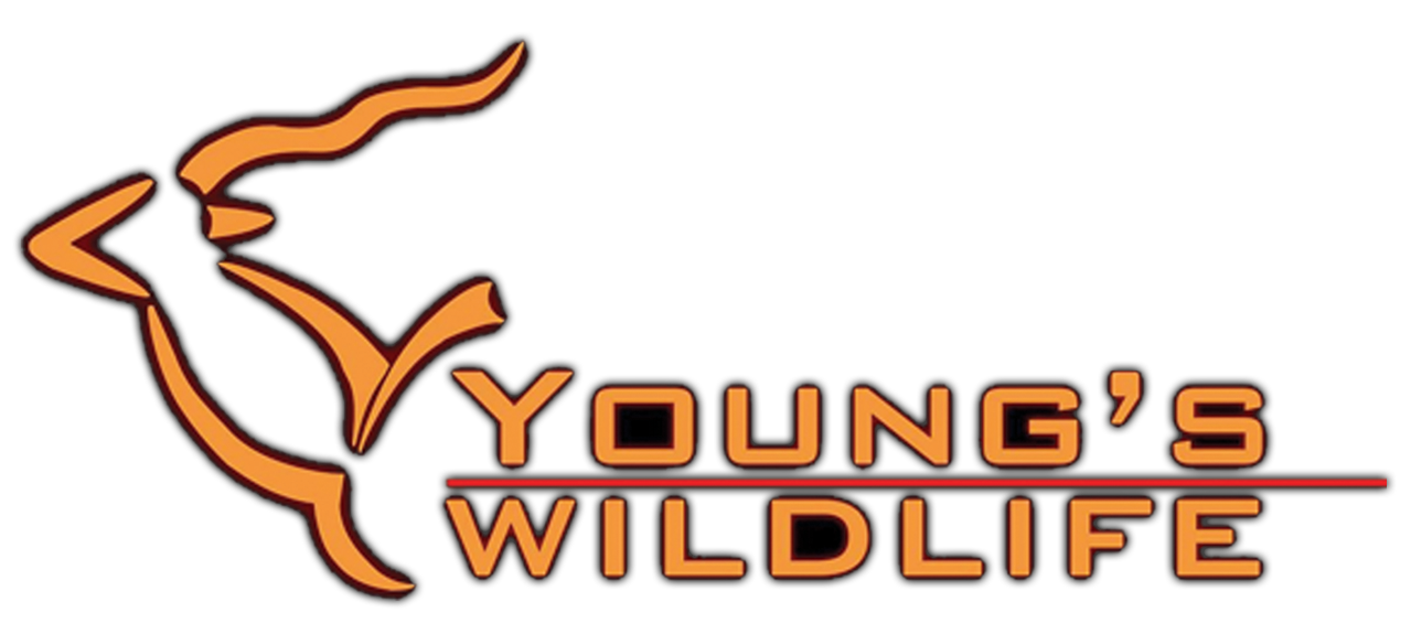 Youngs Wildlife