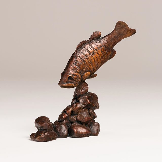 &ldquo;Bronzeback&rdquo; , smallmouth bass sculpture, these bronzes are all currently available for purchase