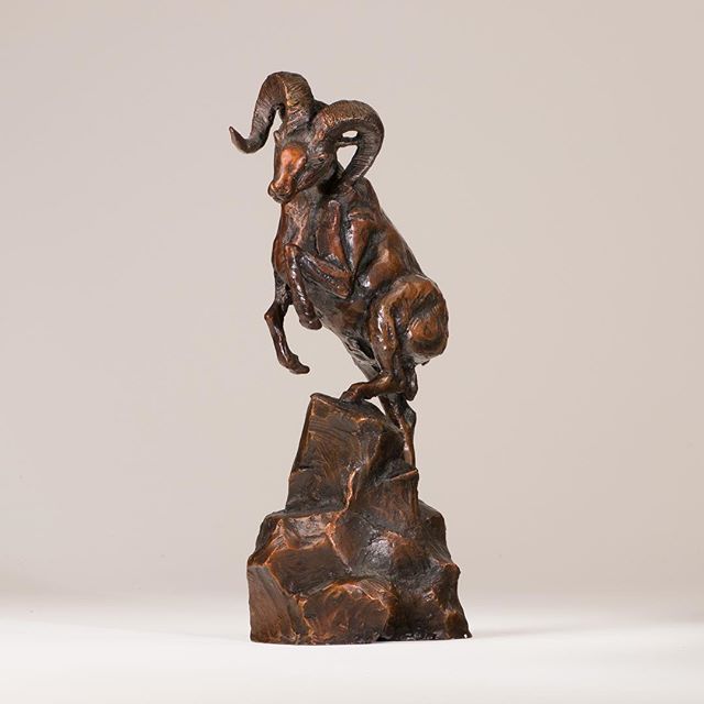 &ldquo;Rise to the challenge&rdquo; , Bighorn sheep bronze #youngbronze #youngswildlife#bronzesculpture #bronzebighornsheep#wildlifesculpture