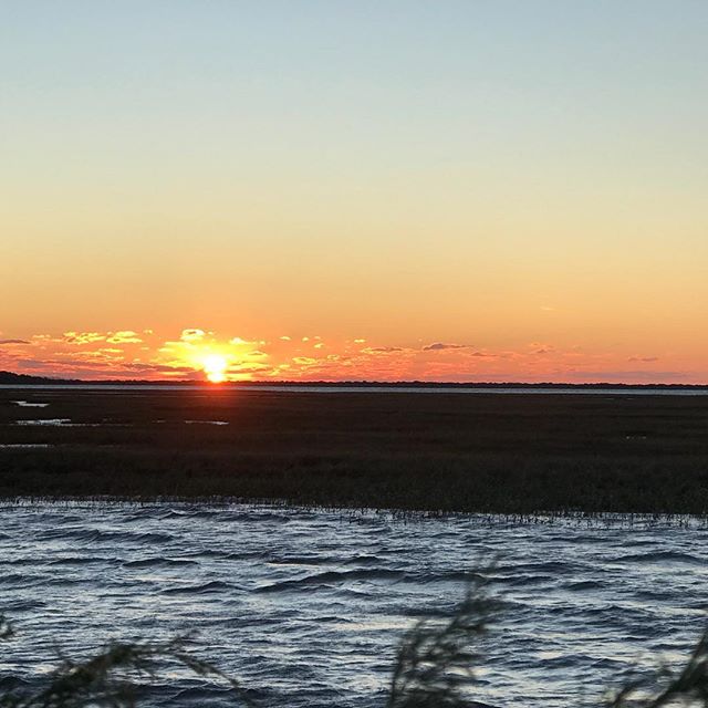 Morning in the chicoteague marsh #Youngswildlife #duckhunting