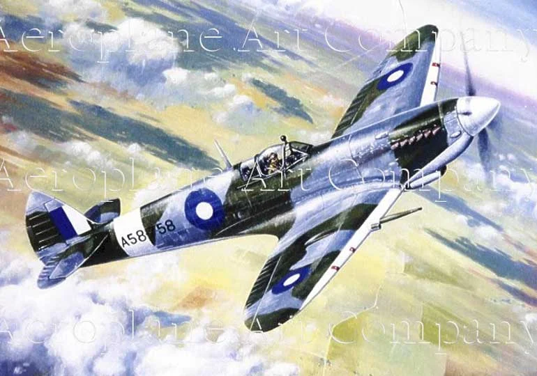 CP_Spitfire_6.jpg