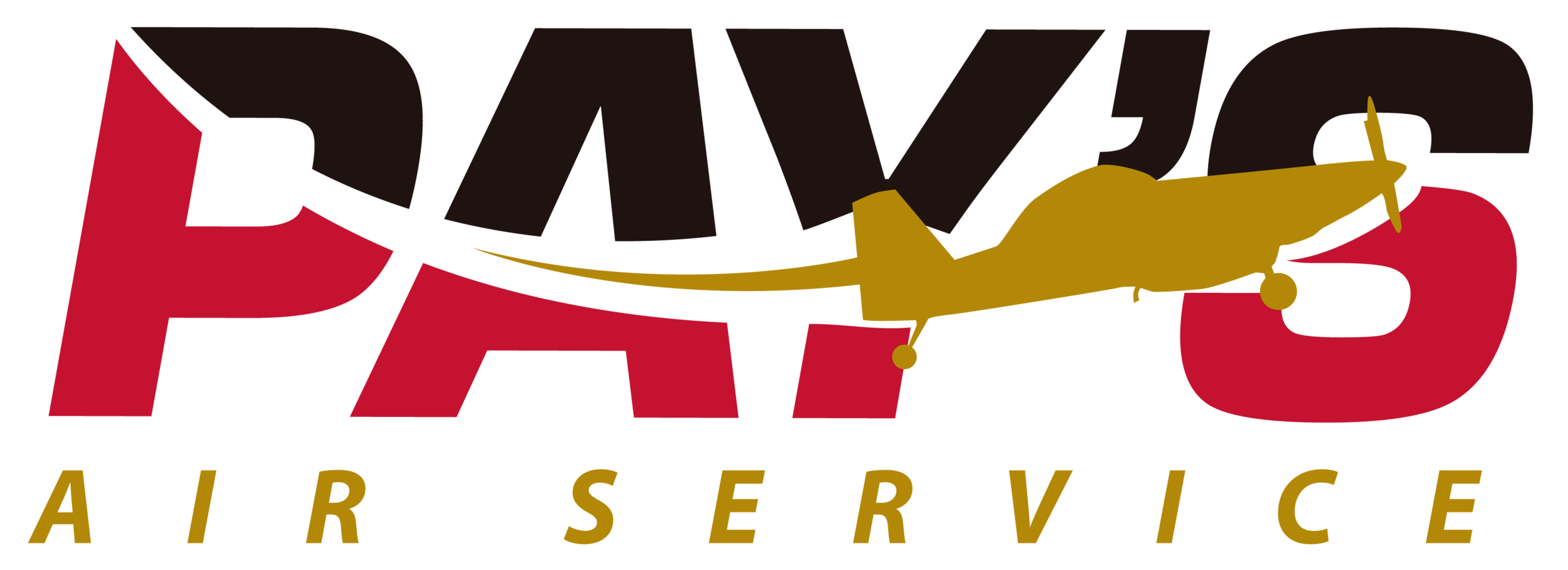 Pay's Logo.png