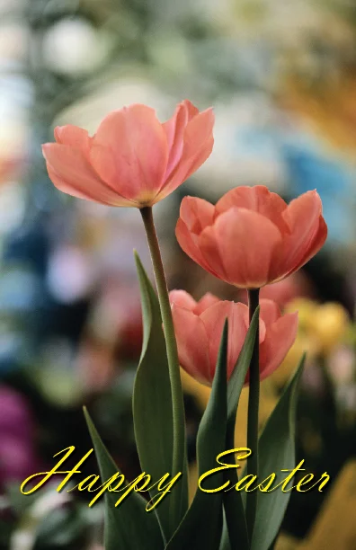 Easter Card cover.jpg