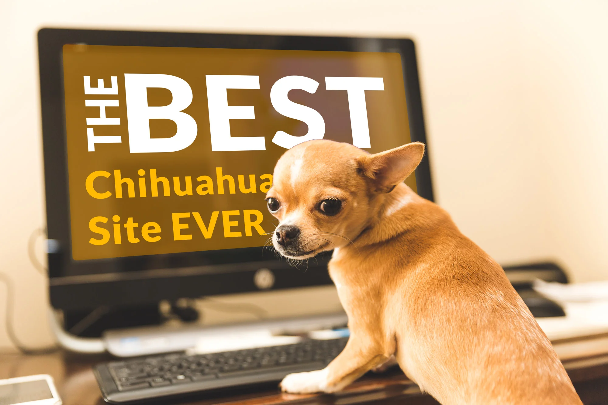 best-website-ever.jpg