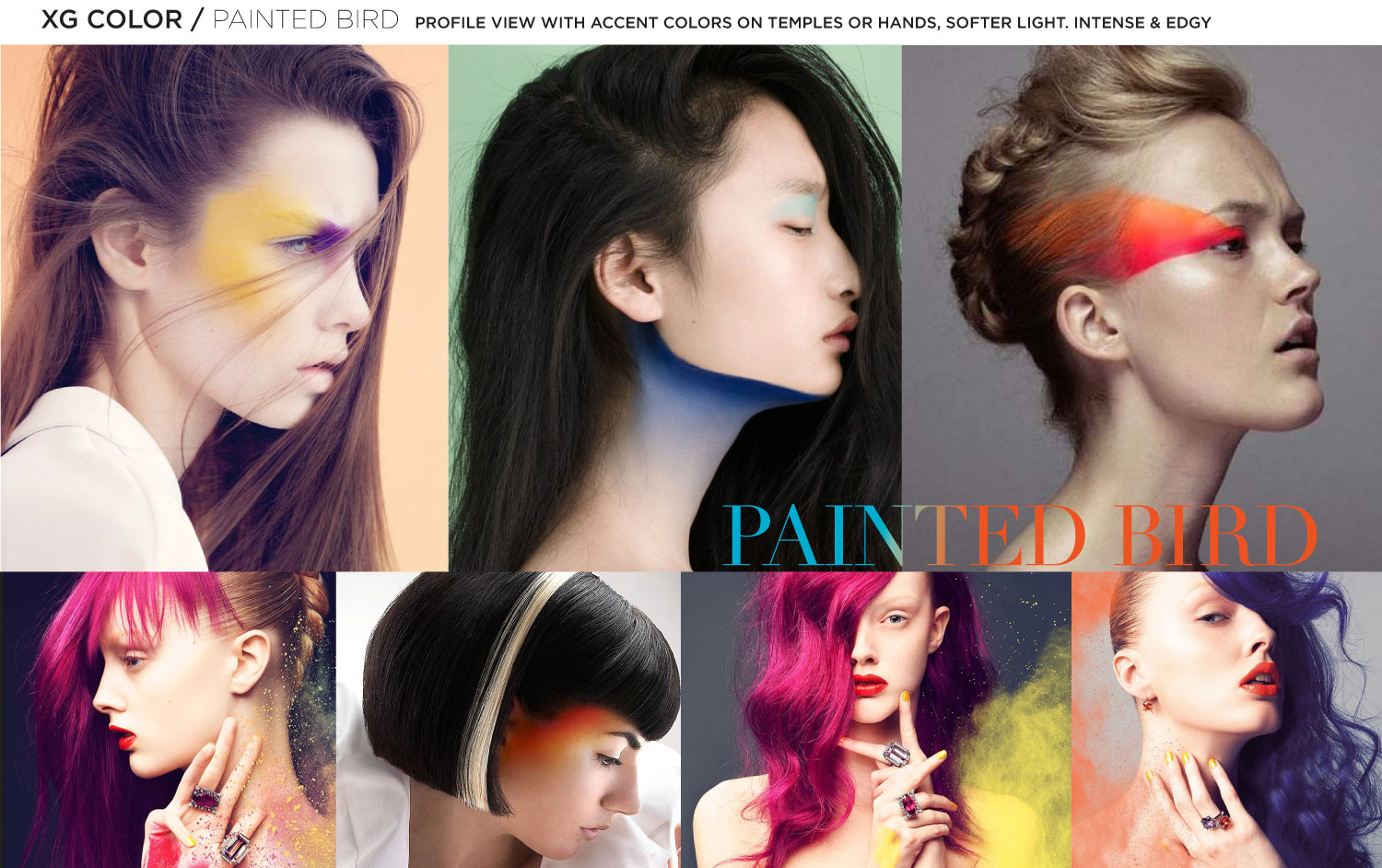 _XG-Mood-Board-3.jpg