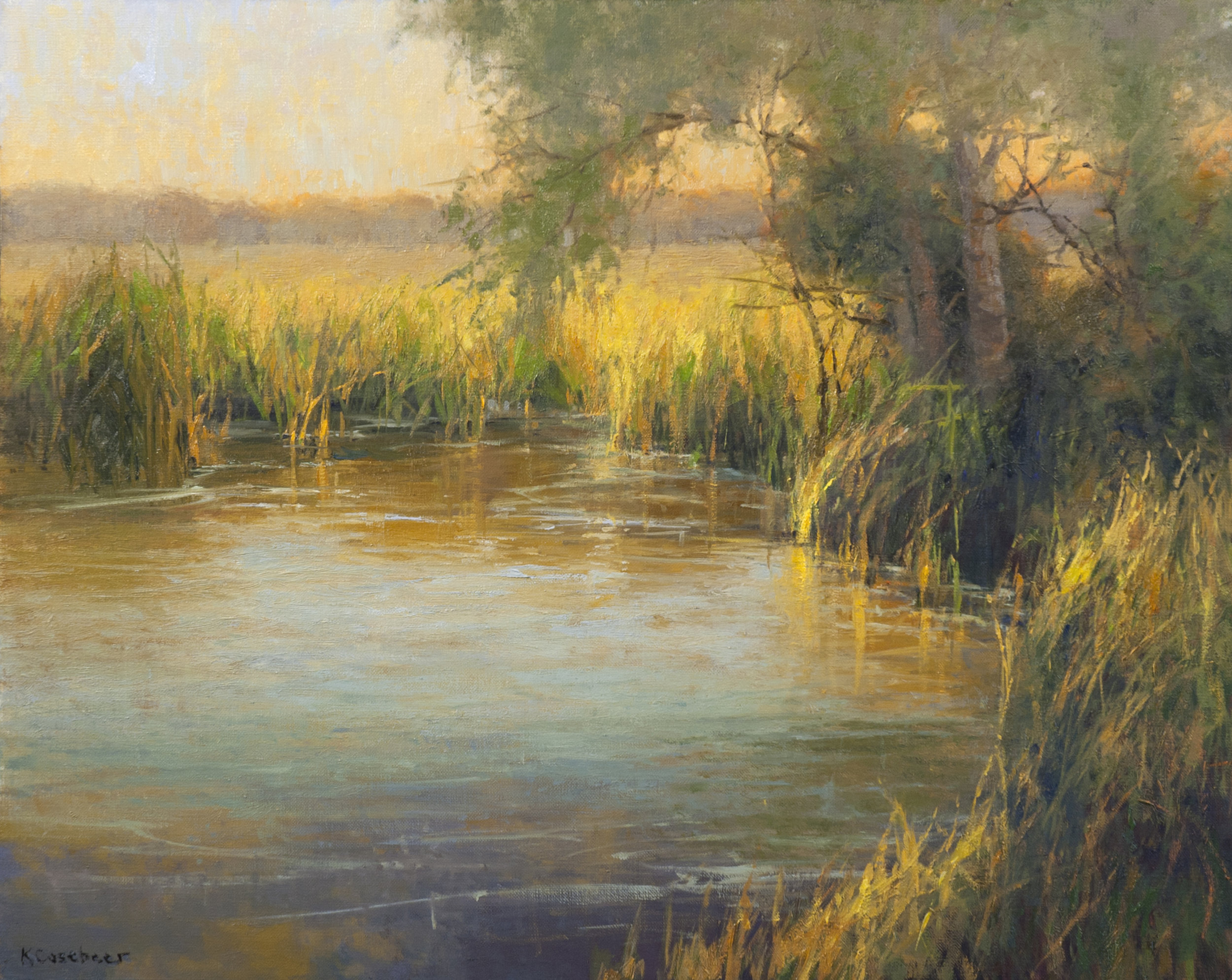 Evening Light on Bluestem