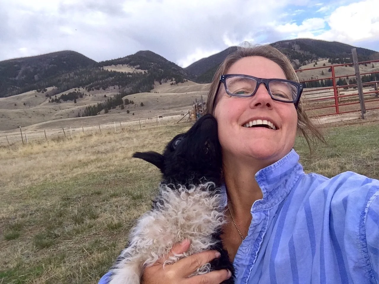 pam-houston-farm-animal.jpeg