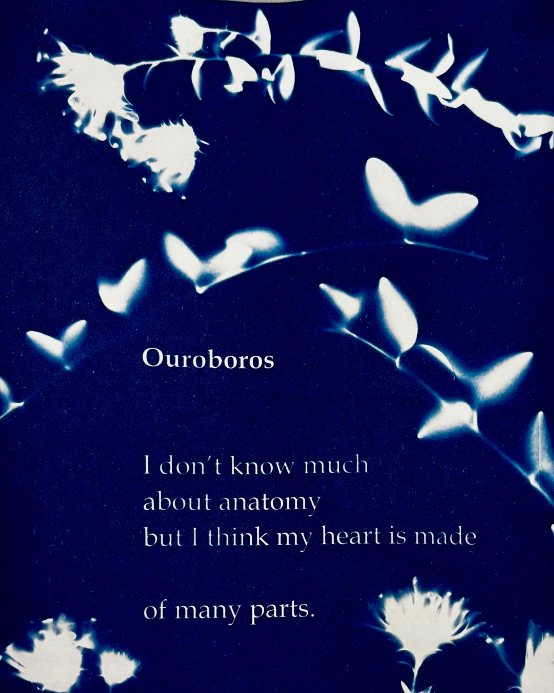 Blue Poems Under the Sun 8_23.png