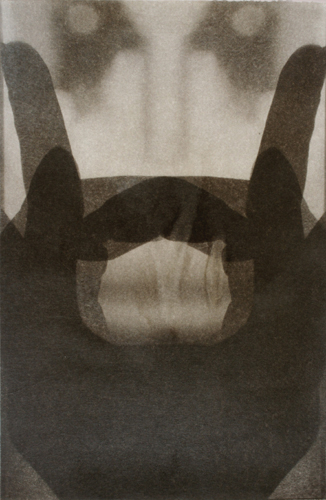    Gesture VI   by Linda Schwarz 2002  Photolithography, collé, varnish &amp; mylar  |  24" x 16"  | $700 Similar prints also available 